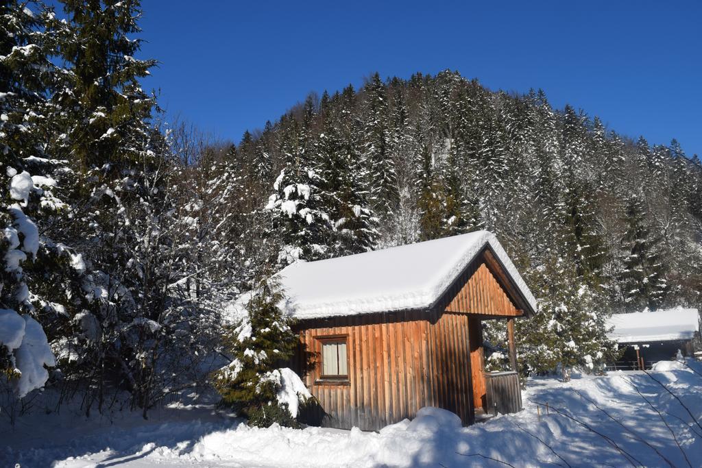 Camping Und Chalet Saggraben Palfau Exteriér fotografie